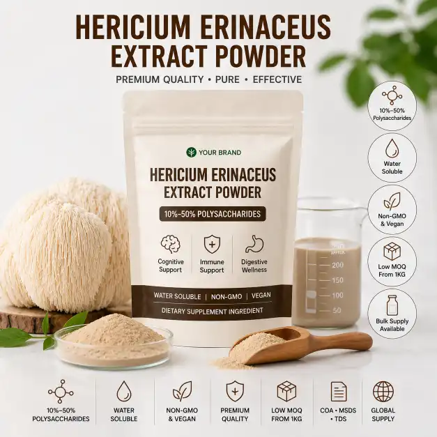 Hericium Erinaceus Extract Powder: Beginner's Guide & Benefits